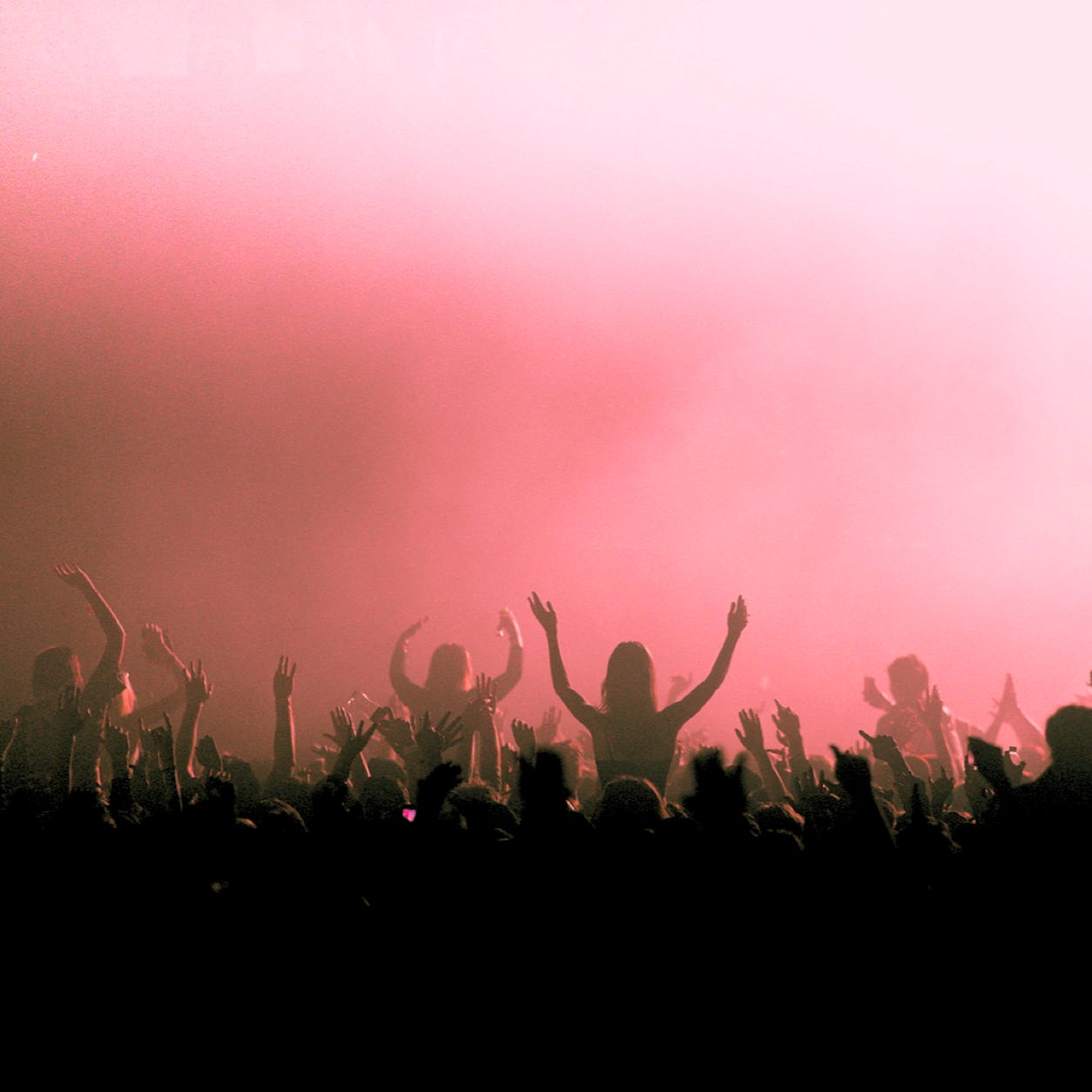 Audience at Celebrity Band Concert 